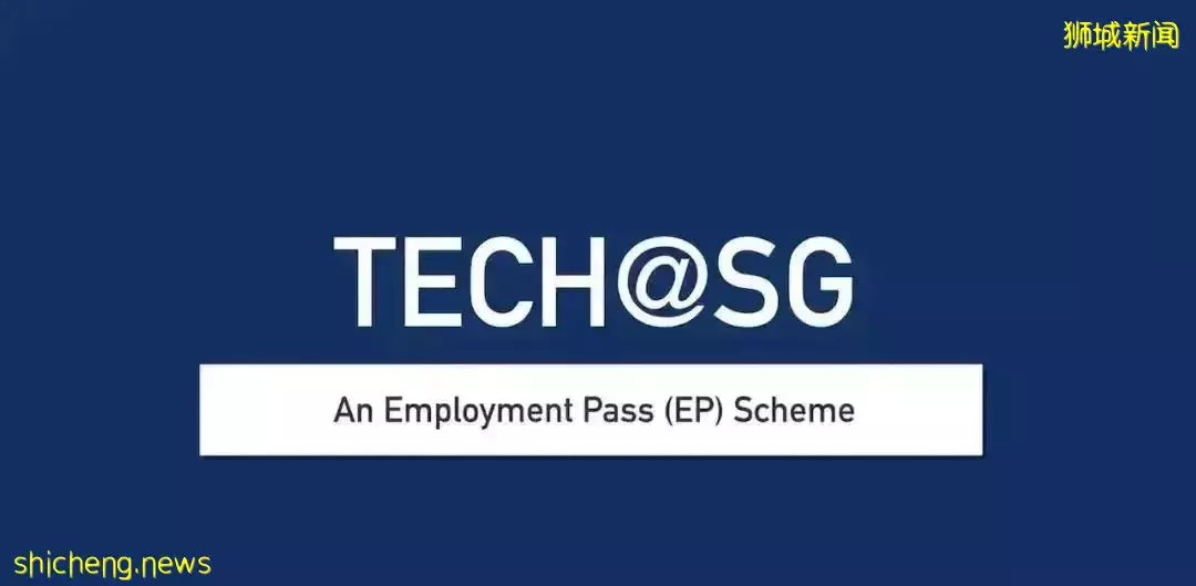 Tech@SG项目，什么公司可直接申请10个EP准证
