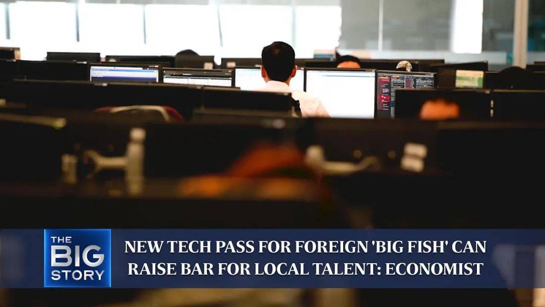 新加坡第四种工作准证Tech Pass横空出世！全球招募科技大神，申请门槛简直是