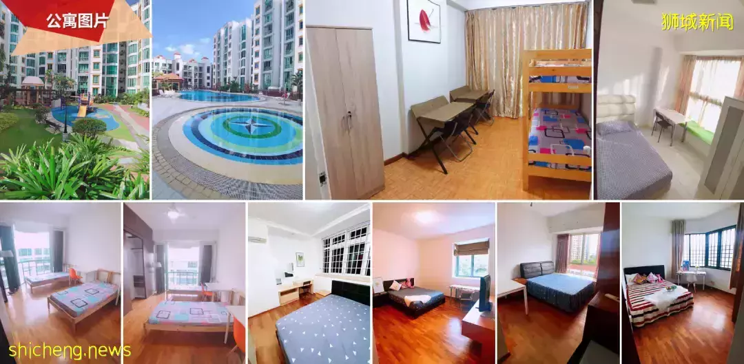 公寓專欄 PSB（City校區）周邊優質房源推薦