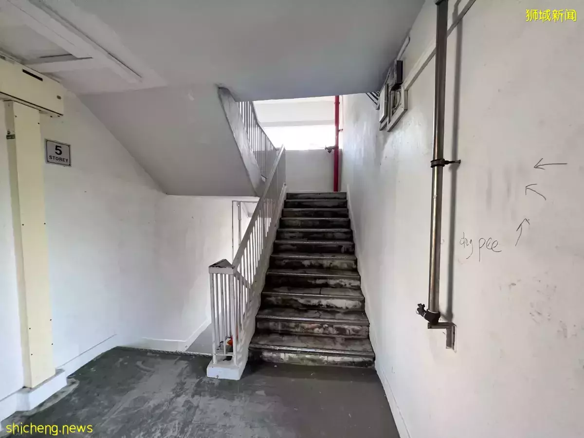 居民寵物狗曾在樓下撒尿 金文泰組屋現大字報“公開示衆”