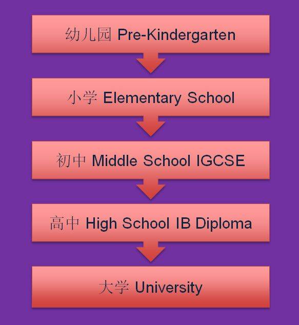 名校輯!國際學校的“明星學校”——史丹福美國國際學校