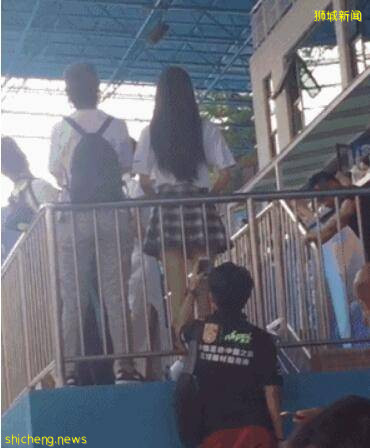 新加坡變態偏愛超短裙女郎,變態行爲被抓包下跪認錯!何必呢