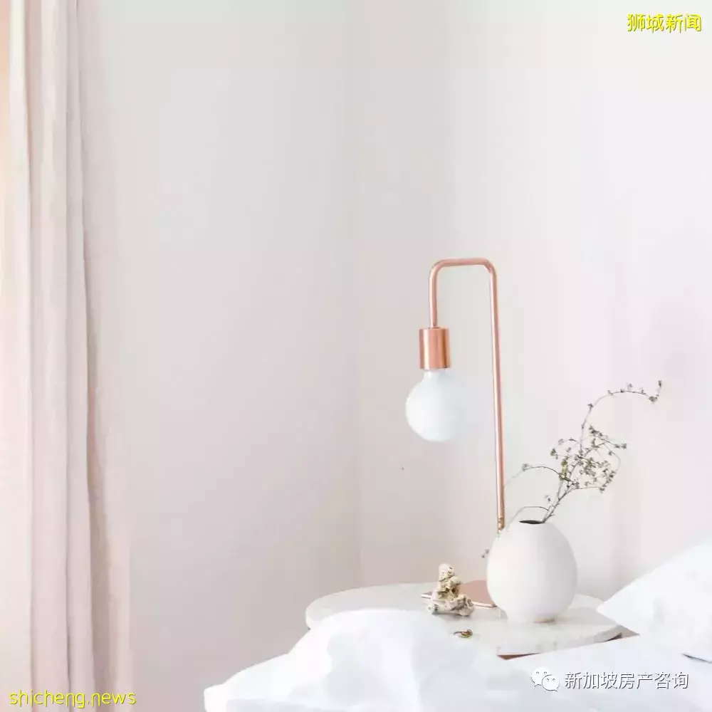 新加坡的价值洼地，核心区永久产权项目  山水大盘 Hyll on Holland