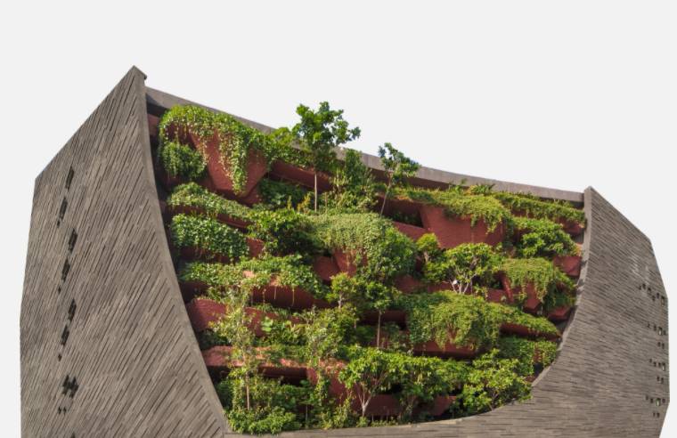 国大李光前自然历史博物馆成立五周年,推出线上专页及更多线上活动