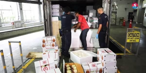 ◤行动管制14天◢大马运载食品货车 如常入境新加坡