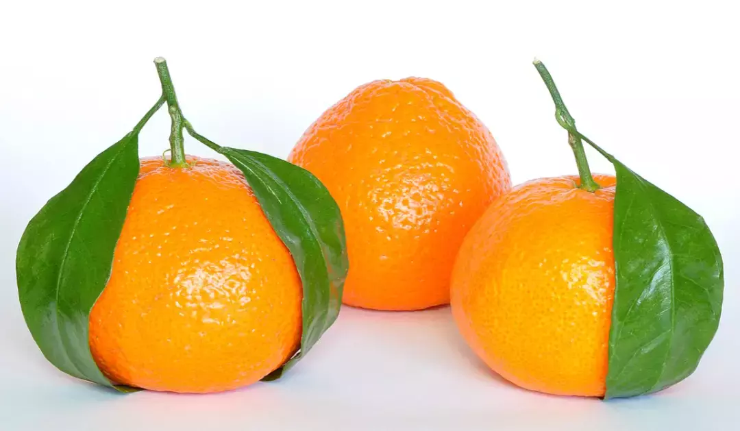 快來看看有哪些新加坡年貨美食你沒吃過