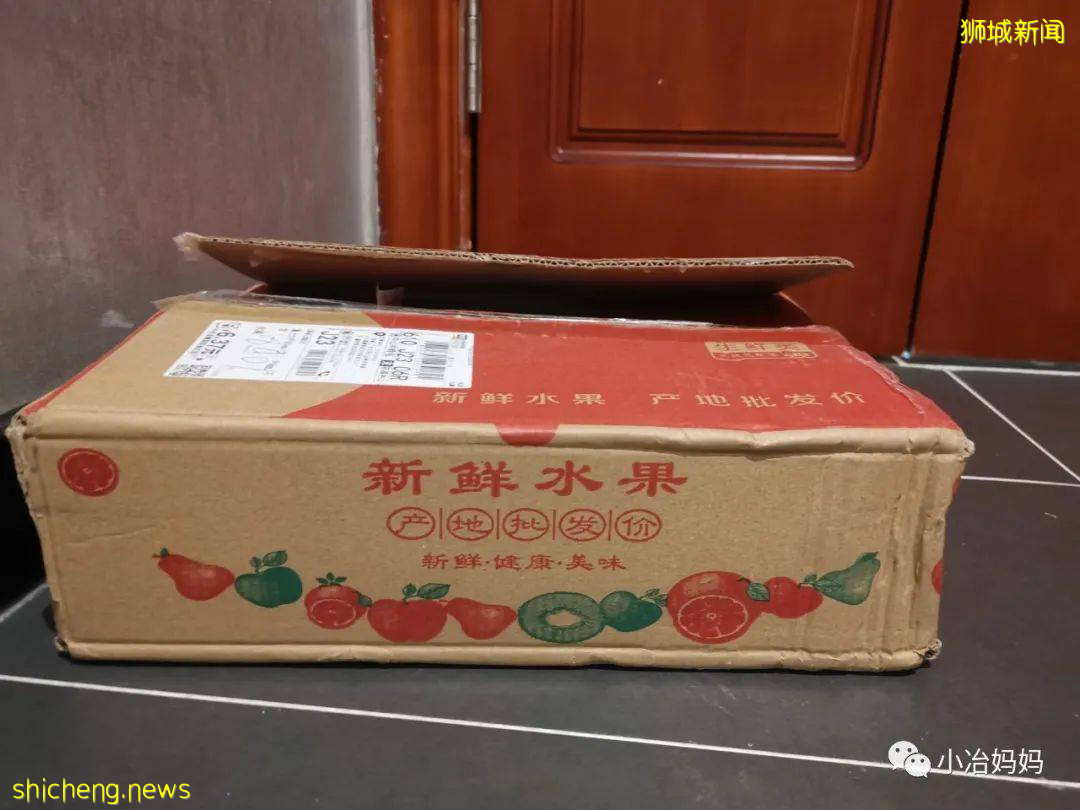 結束11年新加坡的生活!我懷孕帶著5歲的娃回了中國又移民澳洲!這瘋狂又神奇的旅程