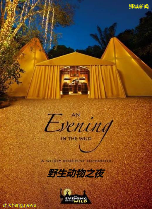 本周折扣！新加坡夜间动物园中秋奢华晚宴，折扣酒店，特价烤鱼