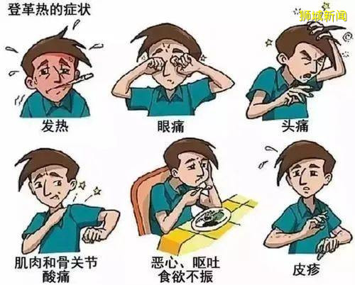 家人群爆了！“新加坡登革熱疫情史上最嚴重” 登上微博熱搜