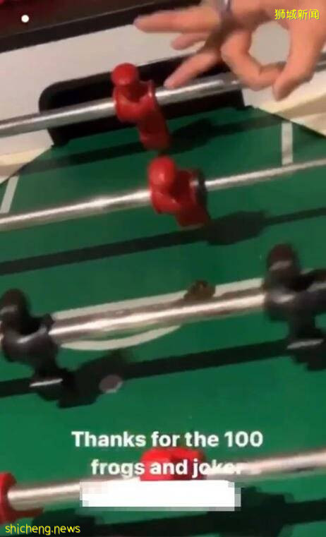 青年虐死青蛙 法庭发拘捕令