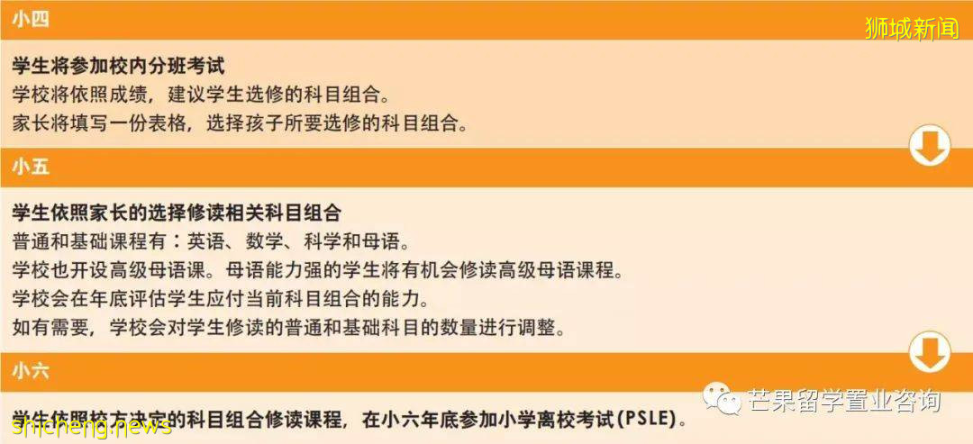 入读新加坡小学,这些信息你得知道