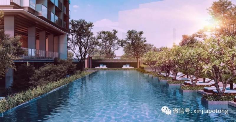 疫情後，新加坡又多了這些億萬富豪！有幾個中國來的