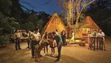 恐龍、卡丁車、公海之旅，親子聖誕去哪玩？看這篇就夠了