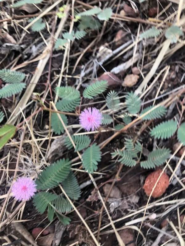 精彩国内游:新加坡南部岛屿休闲之旅