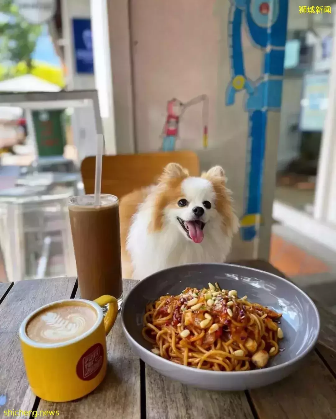 狮城咖啡浓度最高的区域之一,CBD咖啡清单第二弹