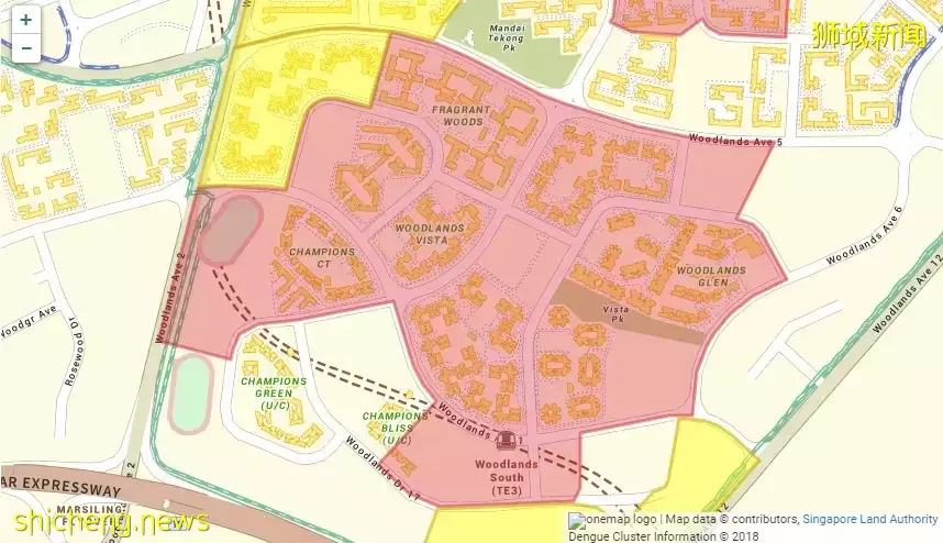 新加坡又爆发一疫情!部长说处于紧急阶段!孕妇染病进了ICU,直呼太可怕