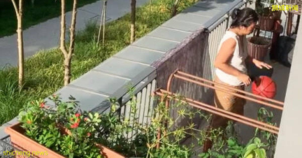 楼上楼下 吵了5年 她做了两件事 输了官司