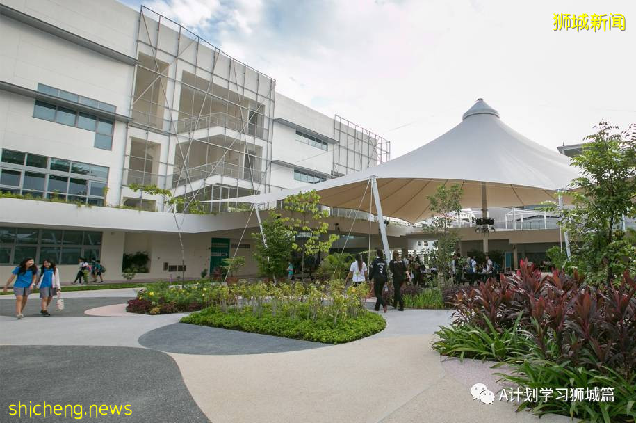 新加坡國際學校IB成績彙總（2021.5）