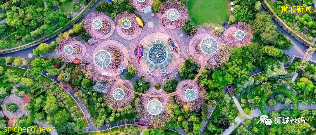 “花園城市”背後的故事，看完才知道新加坡這個小島國有多努力