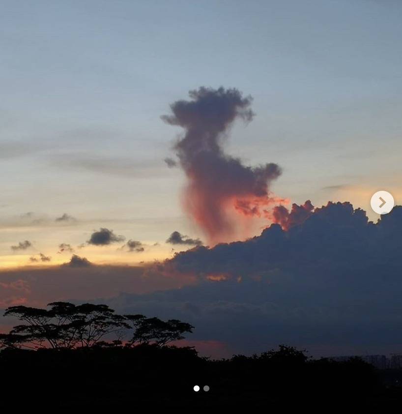 罕見!新加坡聖淘沙這條河變成了粉色,驚現大批死魚!39年創記錄暴雨太作了