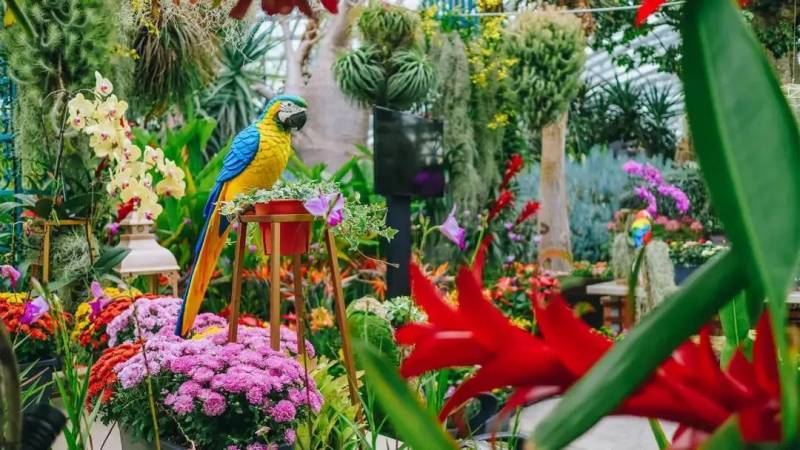 【周末去哪】218米觀景台免費,$12皮劃艇,5折耐克,母嬰特賣