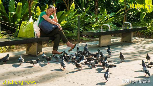 你不知道的世界冷知識(四十三)關于新加坡