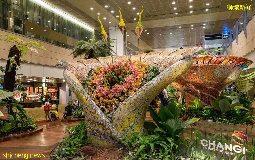 新加坡是如何把世界上最优秀的人才吸引到它的海岸