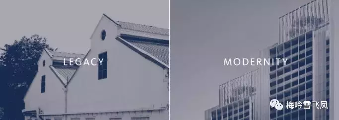 SCDA 新加坡瑞雅嘉苑豪宅项目