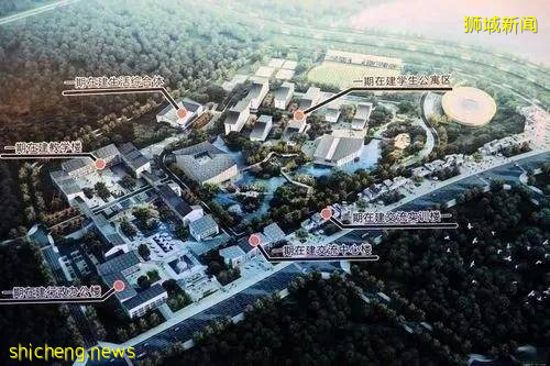 澳洲媒体点名新加坡!中国官方再发声坚持清零,欧洲后悔选择共存