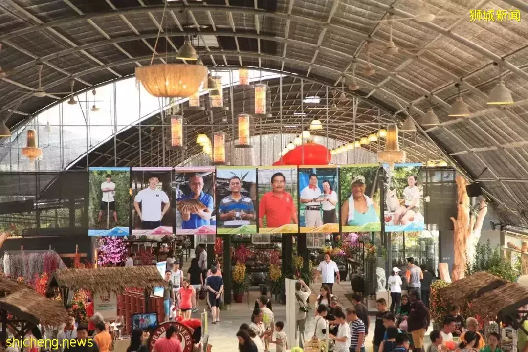 抓青蛙、喂小鸡、摸鹌鹑、喝羊奶、做手工…克兰芝农夫市集又回来啦