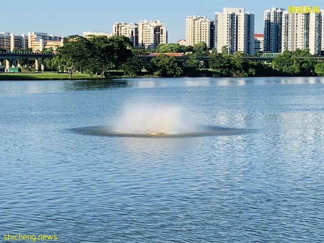 美到不行的裕廊湖畔花园,你不来打卡一下吗