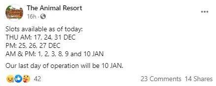 經營20年的新加坡“動物度假村”宣布結業，明年1月10日爲最後營業日期