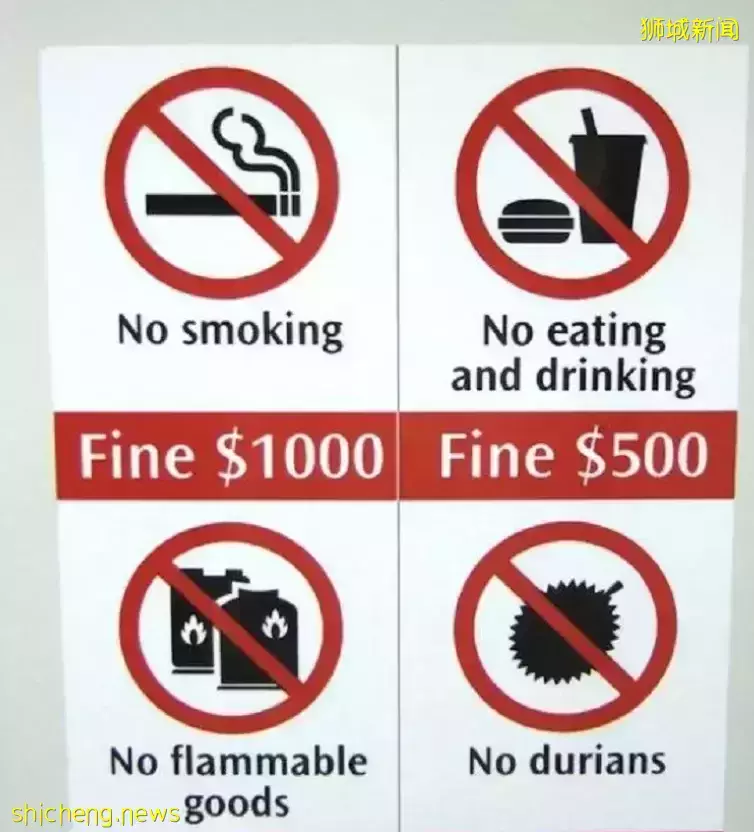 几十张图带你了解别样的新加坡