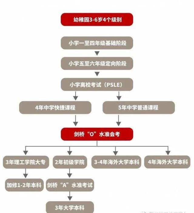陪读、升名校、拿绿卡,读新加坡政府学校的优势竟这么多
