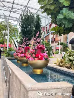 新加坡春节不出门，到这儿就是“出国”啦