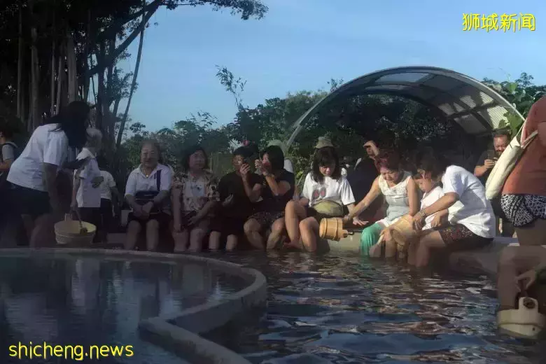 新加坡唯一免费天然温泉重新开放啦!约