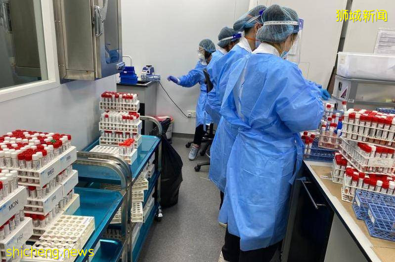 实验室使用率已超过八成 狮城冠病检测结果或延误