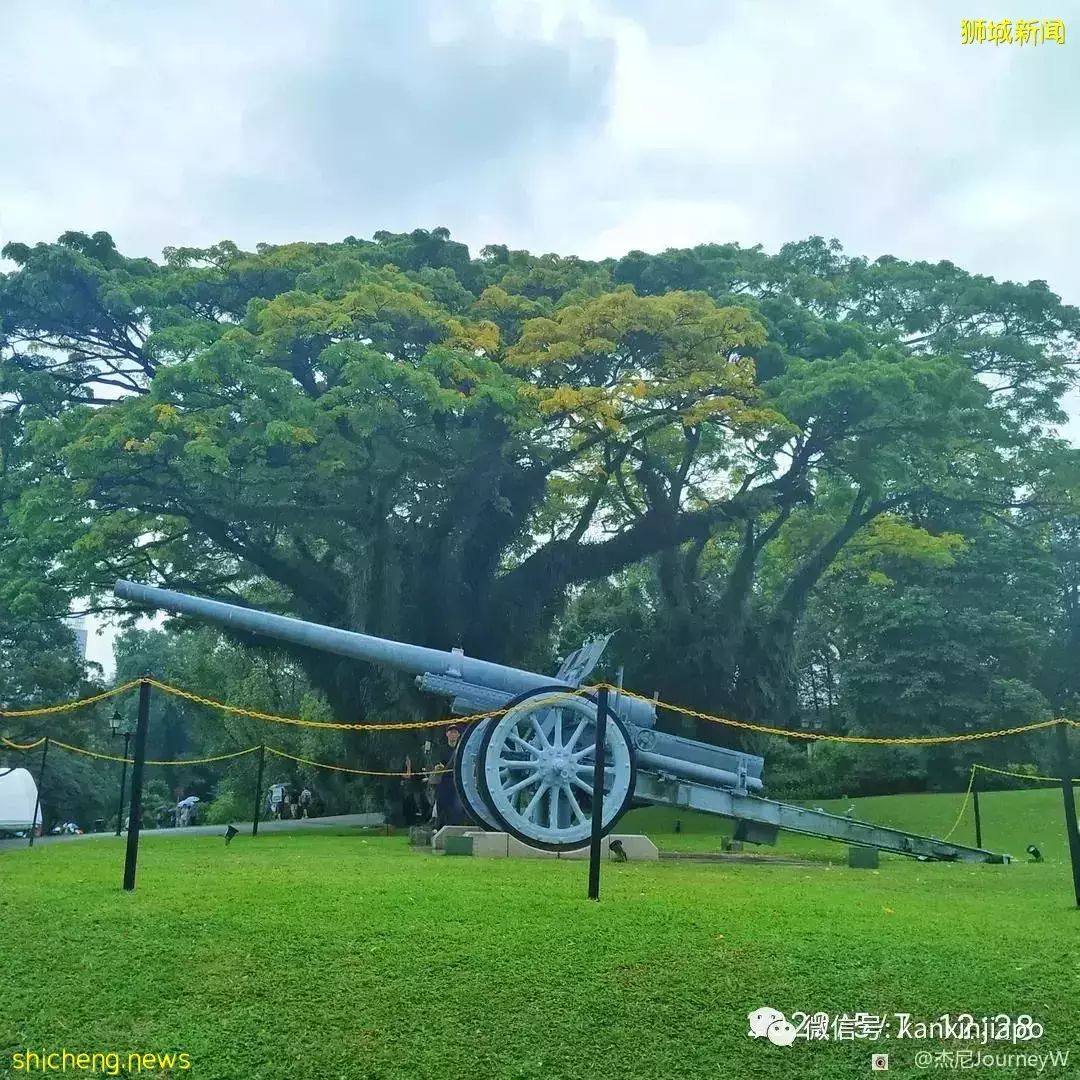 “游览总统府巧遇新加坡总统！她竟然还和我合照”