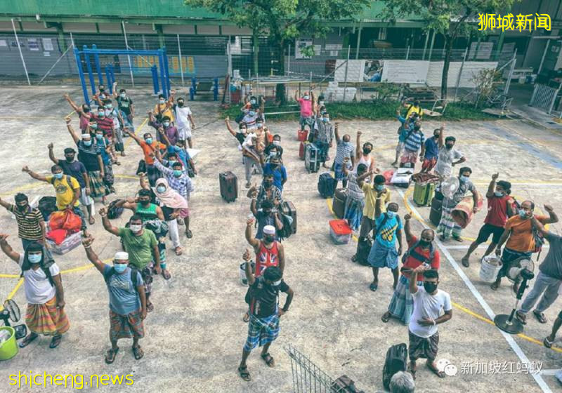 【圖集】獅城與冠病奮戰的前線景象，顛覆你我的想像!