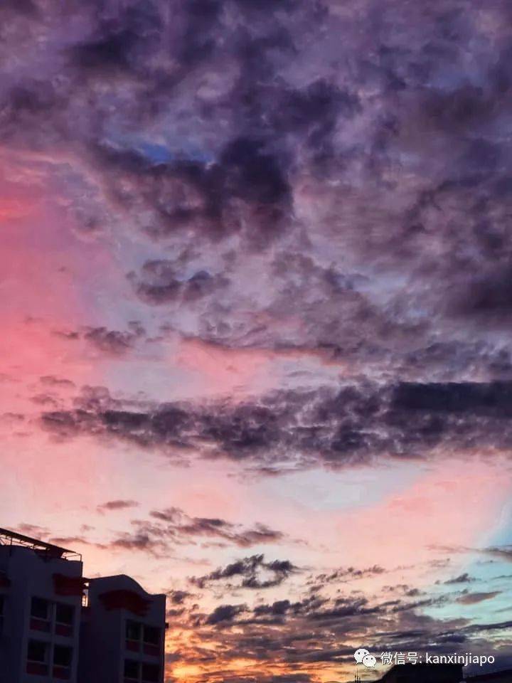 新加坡清晨出現粉紫色“神仙”天空!大波美圖驚豔全島