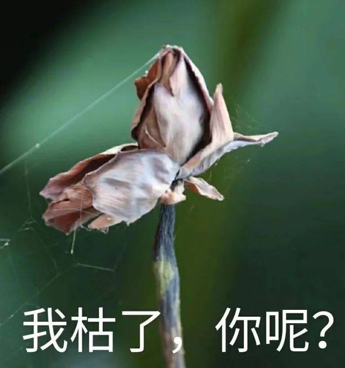 历史上最严封城令席卷全球，至少30国宣布进入紧急状态