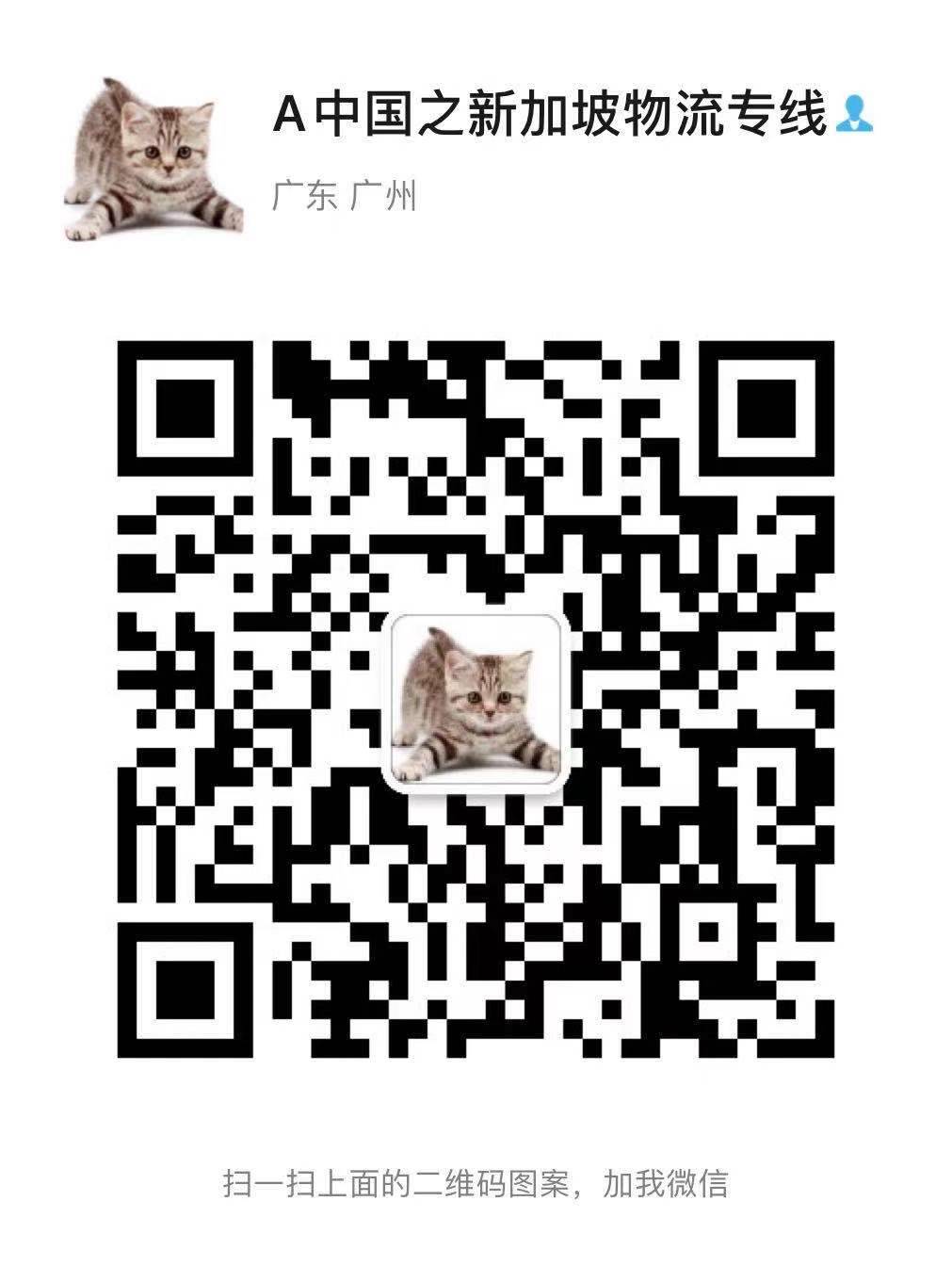 降價啦！中國到新加坡的海運低至420人民幣起