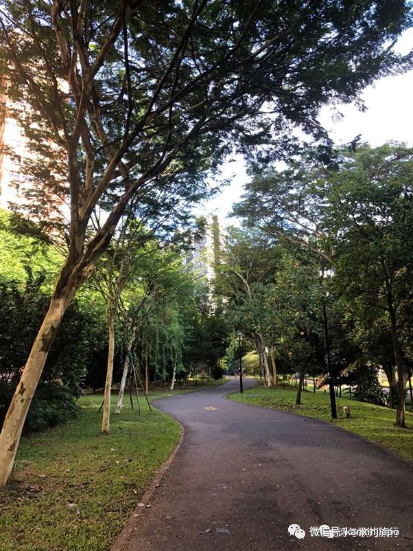 亞曆山大在新加坡鋪了一條路,你知道在哪裏嗎