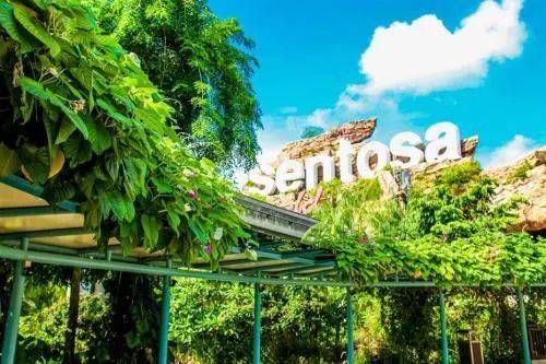 浪起來,新加坡水上運動大盤點