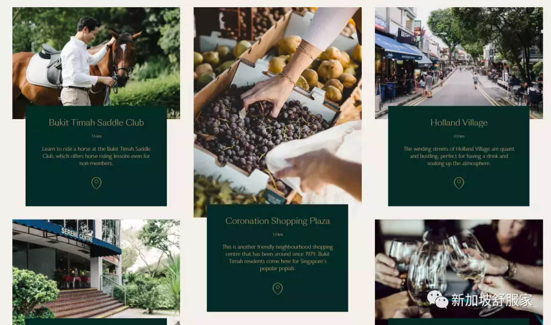 新加坡萊佛士女小“天才班”學區詳解