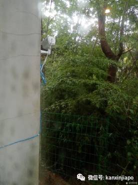 “我住的隔离酒店有人逃跑了,惊动了警察”