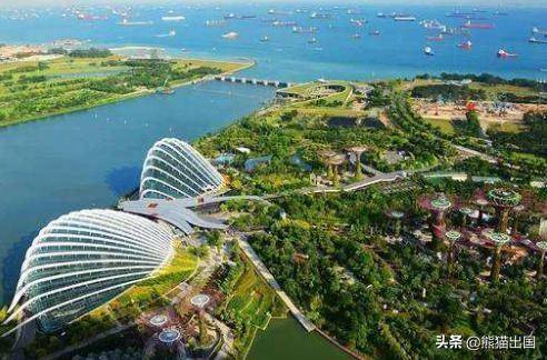 纵观新加坡工签政策变化史，对移民新加坡的申请者影响有多大