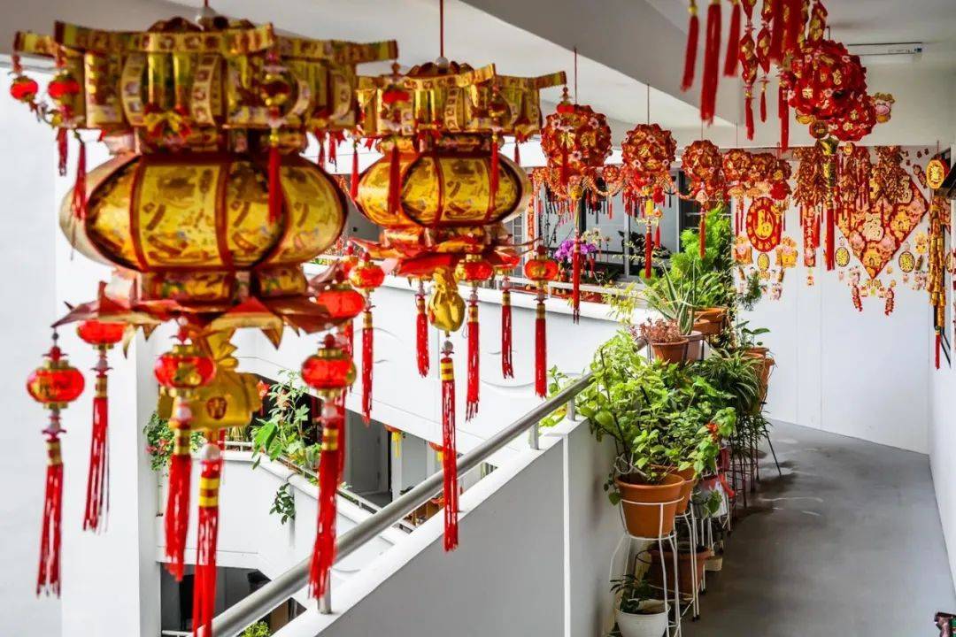 国家公园局发布高清美图!坡岛的春天终于来了!新加坡版樱花你见过没