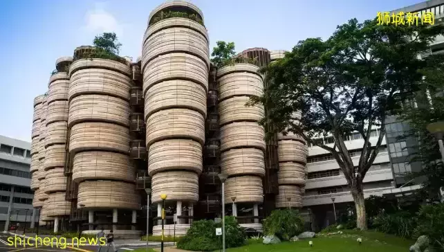 新加坡南大学生转租宿舍赚钱,$900/月!面临被开除!他们哭诉今年租房血泪史