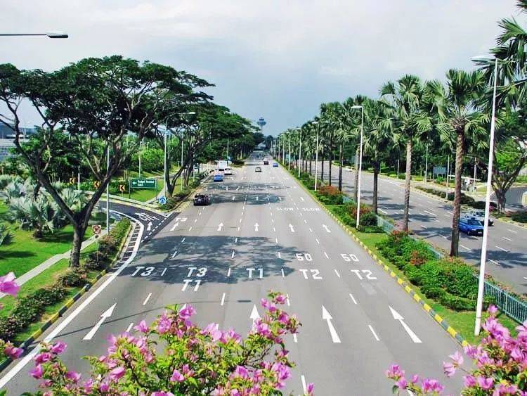 中國飛新加坡乘客免隔離！中國網友：抱歉今年不來了！新加坡：沒事我等你